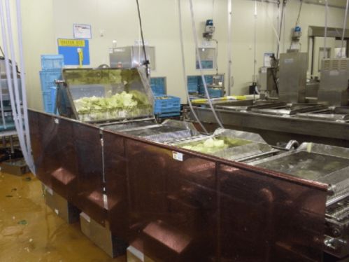 电解水应用实录 为日本水产品加工厂注入高效清洁新动力