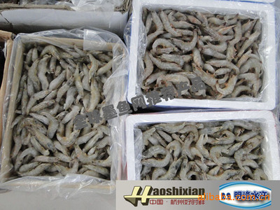 杭州好时鲜 源头直供，各规格便宜新鲜明虾大量批发