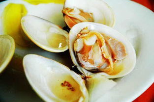 警惕麻痹性贝类毒素 食用野生贝类暗藏的健康风险